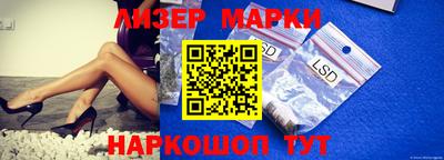 молекула духа Кингисепп