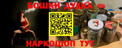 молекула духа Кингисепп