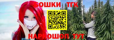 молекула духа Кингисепп
