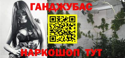 молекула духа Кингисепп