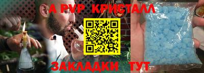молекула духа Кингисепп