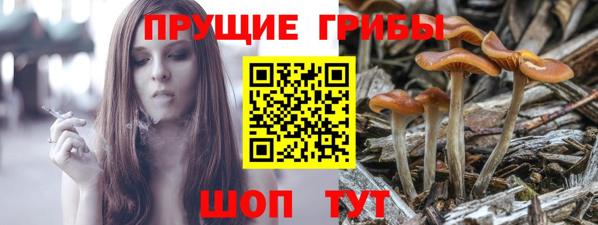 Галлюциногенные грибы GOLDEN TEACHER Лениногорск